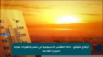ارتفاع متوقع.. حالة الطقس الأسبوعية في مصر وتطورات موجة الحرارة القادمة